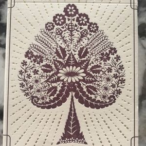 Meet your Posher, Tisha